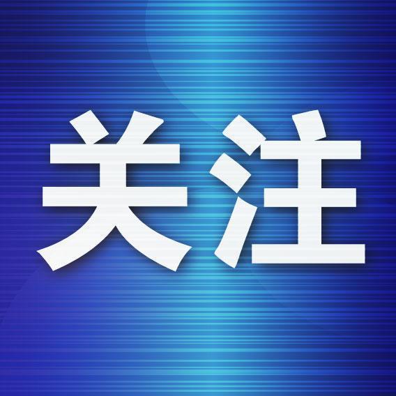 配资平台预警网 小蝌蚪不怕黑盲童夏令营在连圆满闭营
